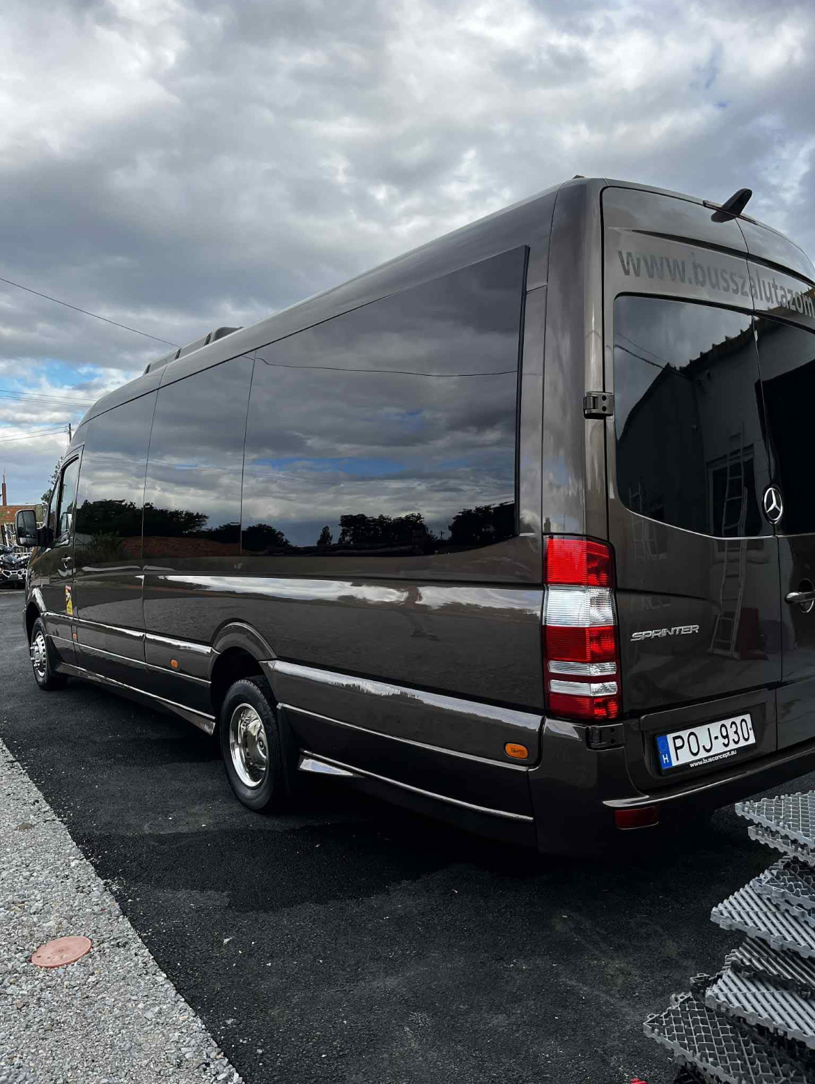 Brown Sprinter side